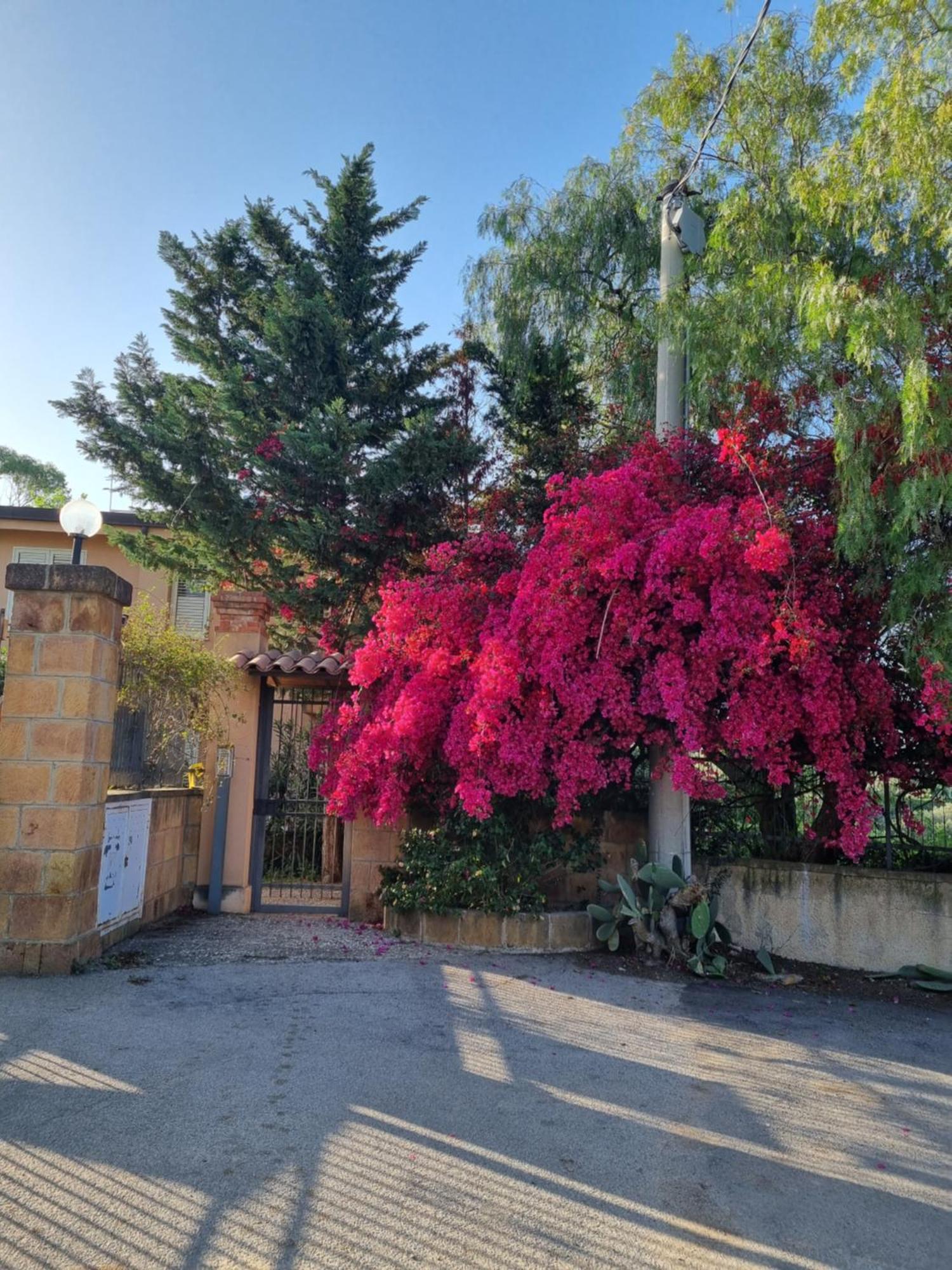 Vfh- Park Cicladi